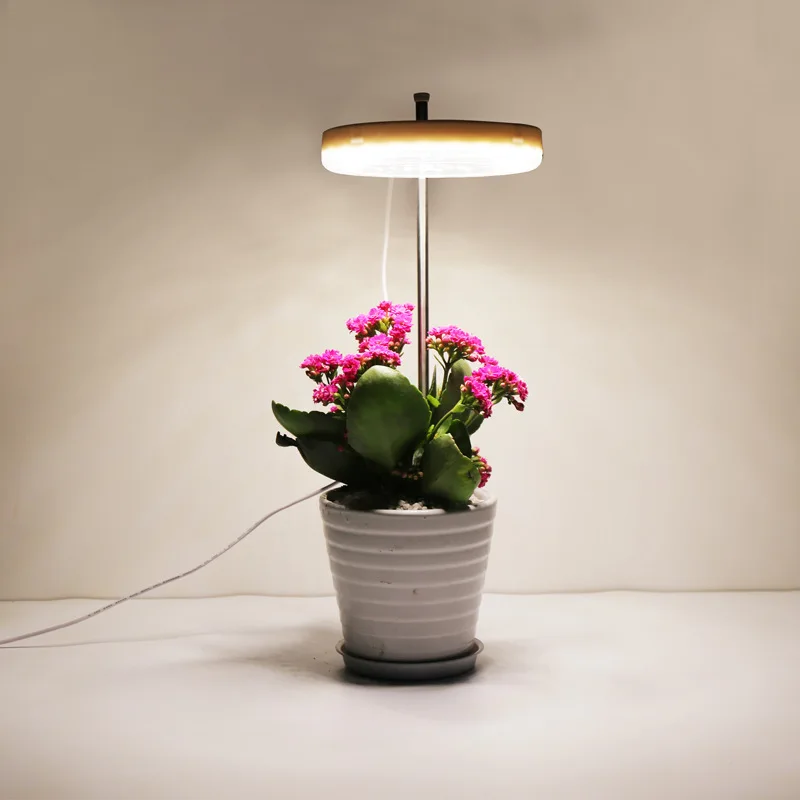 5V LED USB Angelas Žiedas Sultingas Gėlių, Augalų Auga Šviesos Augti Šviesos Pilno Spektro Augti Šviesos Spinduliai, Patalpų Šiltnamio efektą sukeliančių Darželio