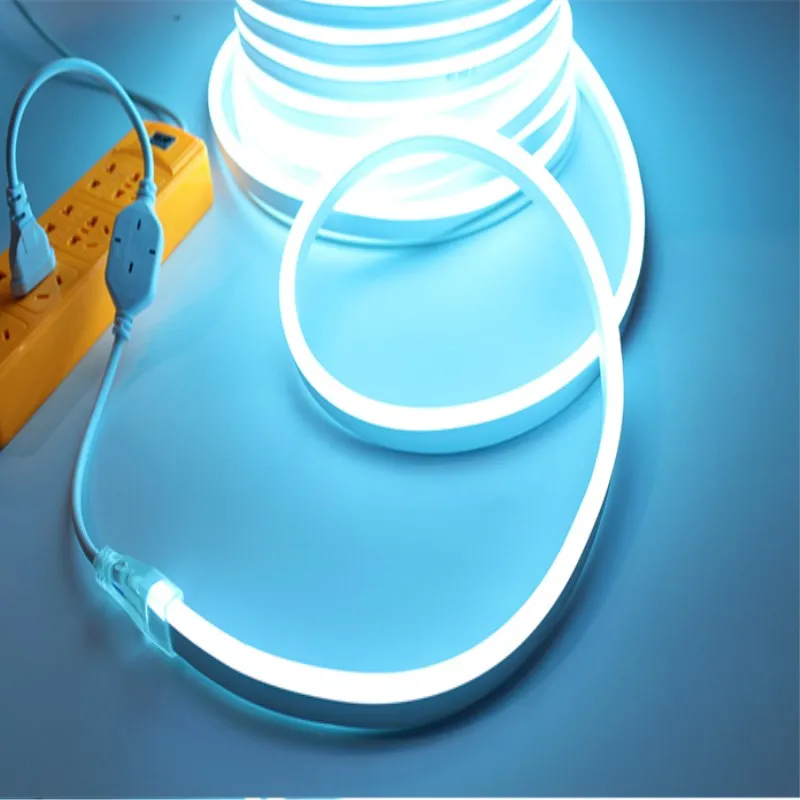 LED neon light AC 220V DC12V 24V vandeniui vamzdis Neoninis Ženklas Spalvinga Vaivorykštė Led Šviesos diodų (LED) pikselių šviesos didelis šviesus Dekoratyvinis